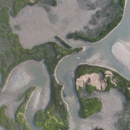 a large area of land with many plants in it
