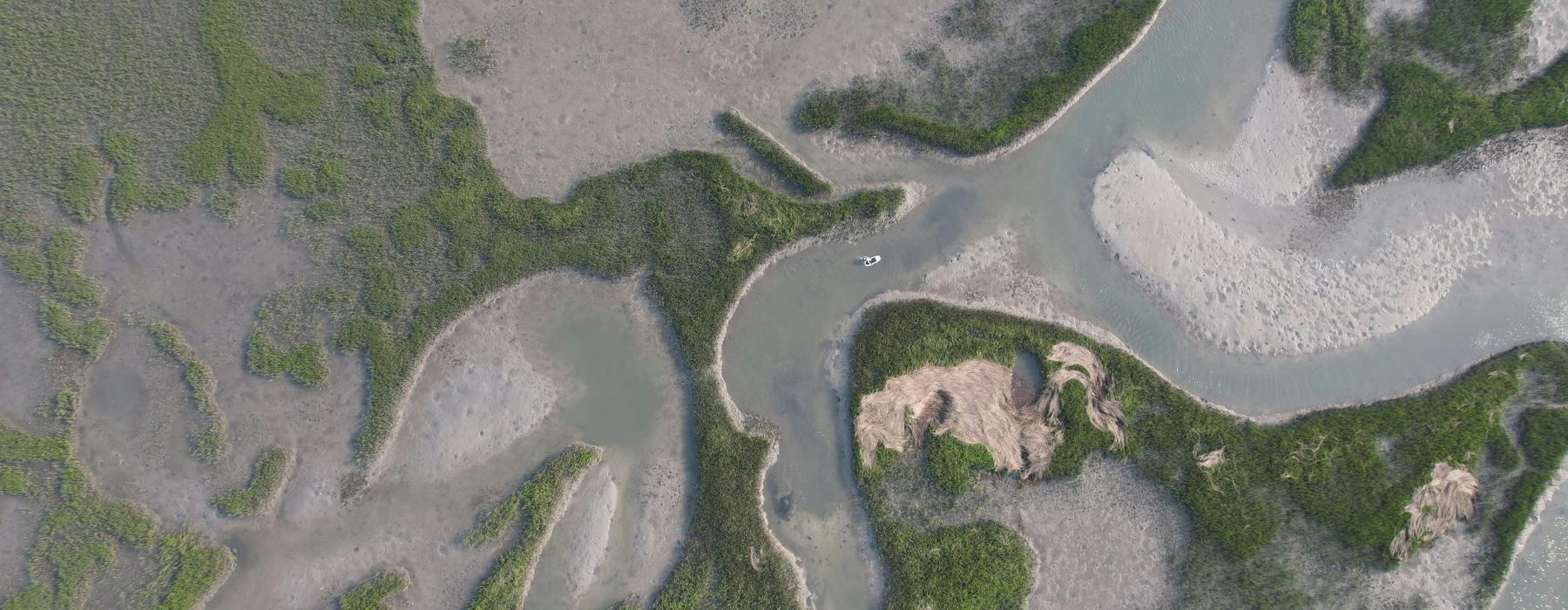 a large area of land with many plants in it